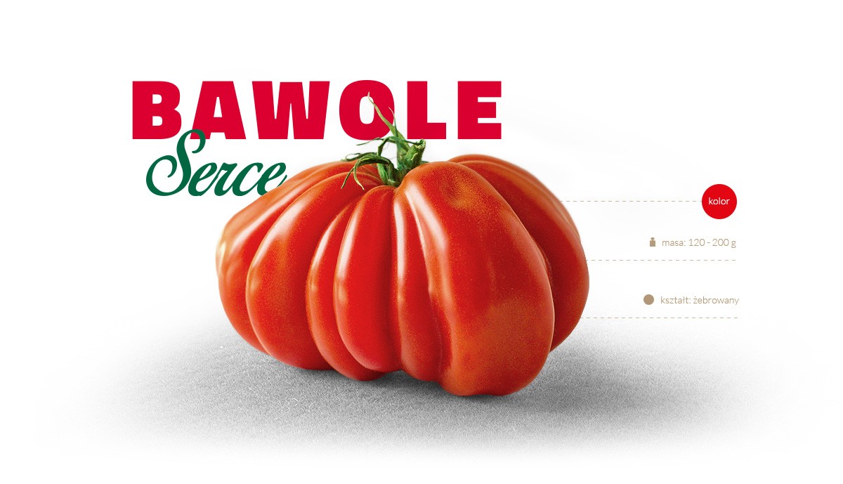 Pomidor Bawole serce