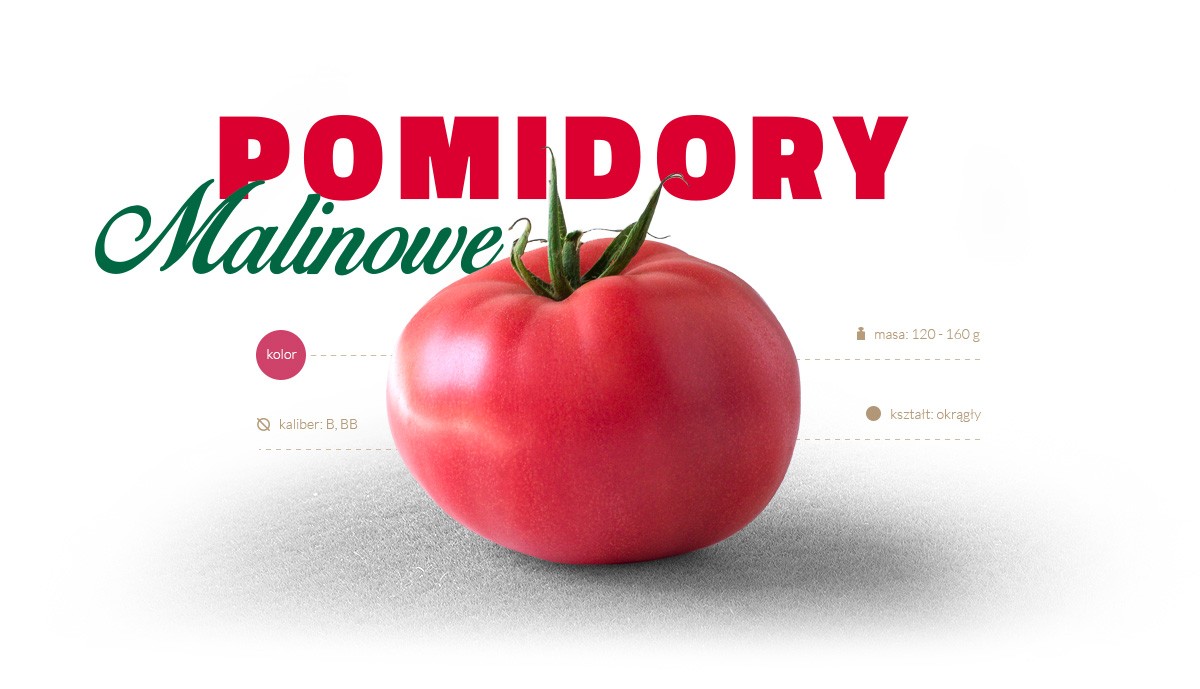 Pomidor Malinowy