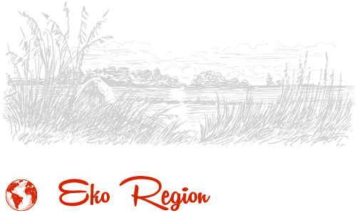 Eko Region